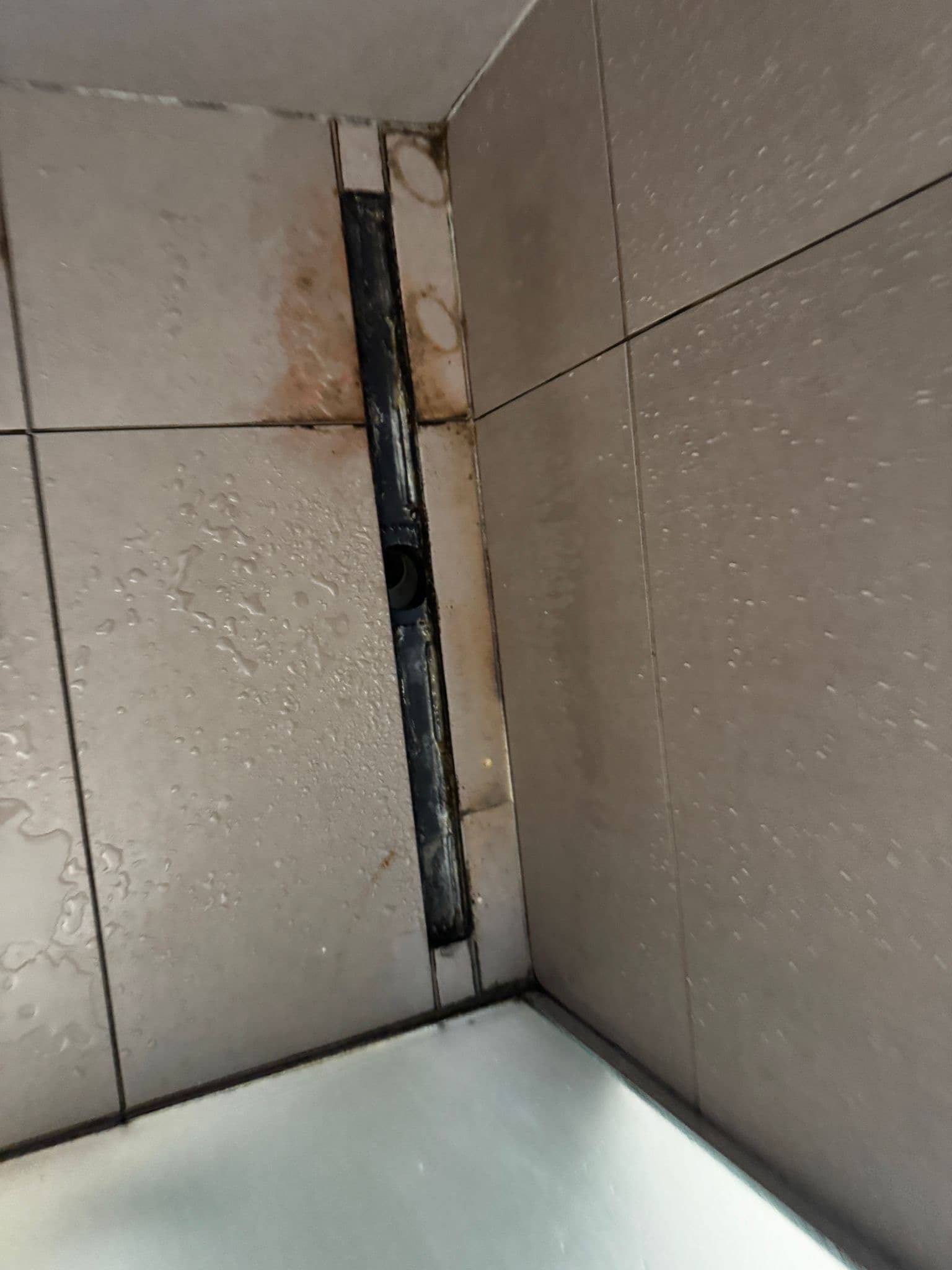Shower Drain - Before