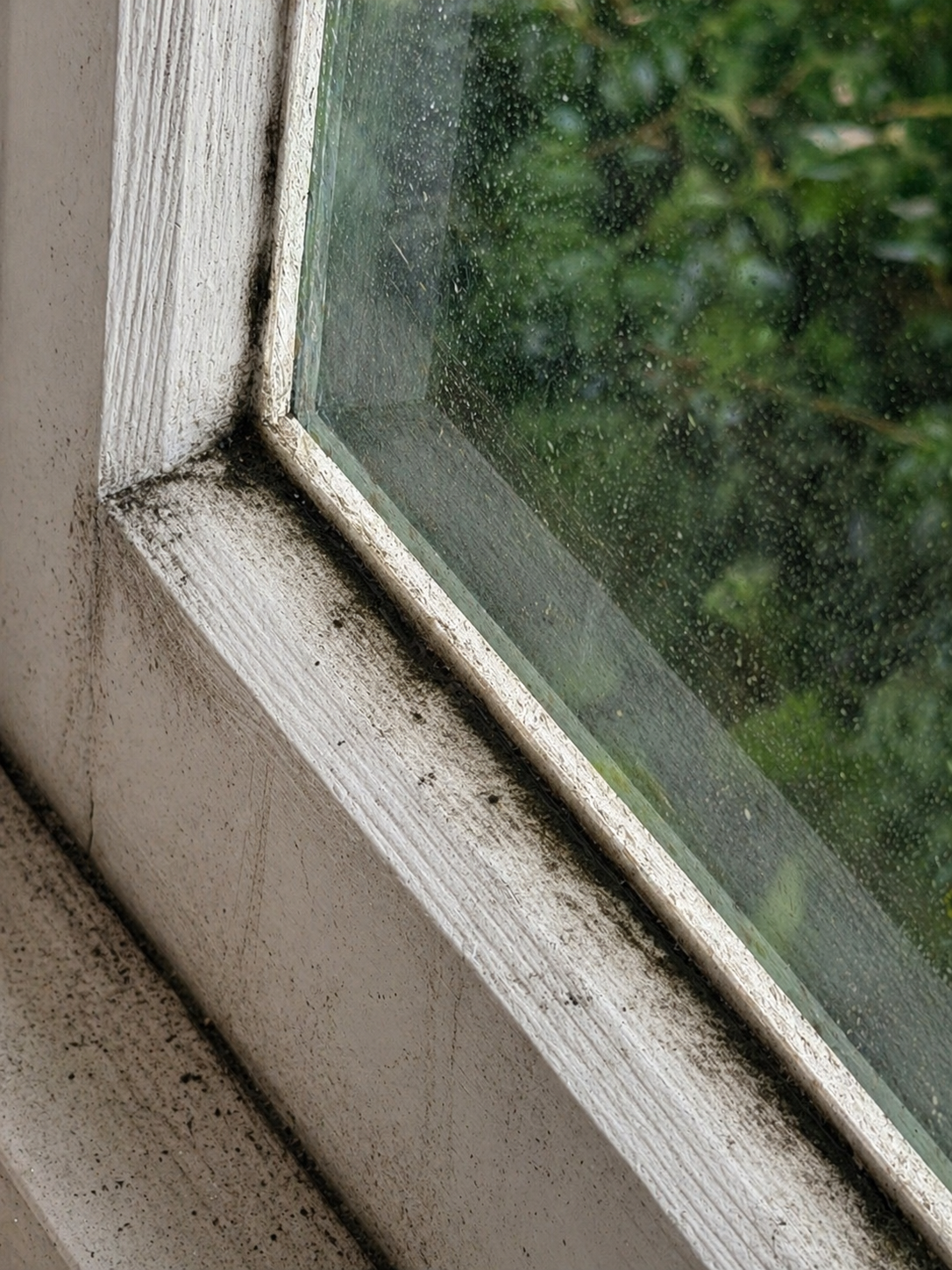 Clean window glass and frame after detailed cleaning